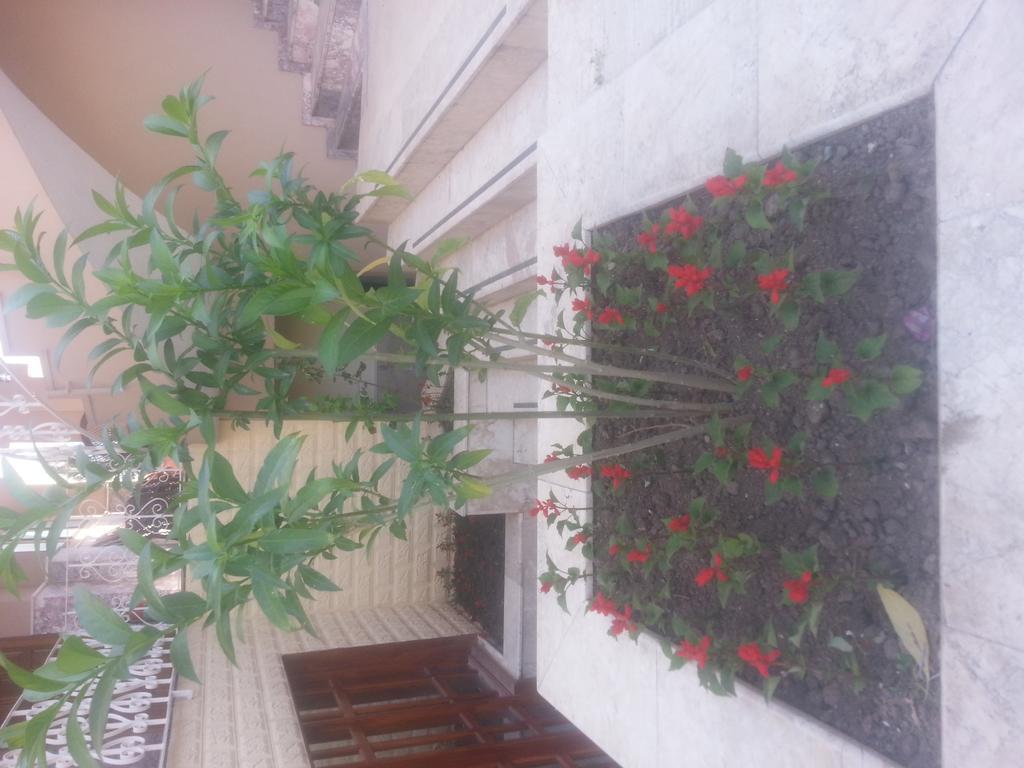 Lanova Hotel Kemer Bagian luar foto